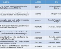 1.85合几