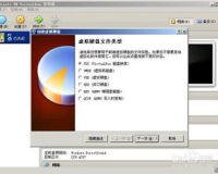 vmware传奇SF,建议:VMware传说SF:虚拟化技术的革命性飞跃