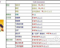 拳皇1.85出招表,拳皇1.85，掌握战斗技巧，成为格斗之王!