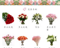 花季v1.85:是新的花卉管理软件。