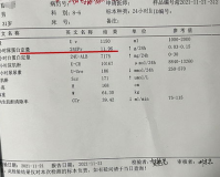 尿蛋白定量1.85严重吗