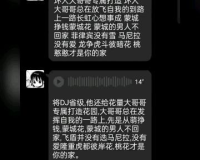 传奇专属！本章dj舞曲带你领略无尽魅力，唤醒你的舞动灵魂