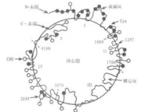 载脂蛋白B1.85是否严重，需要结合其他检查结果和个体情况综合判断