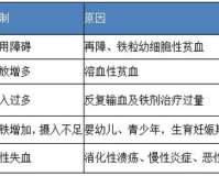 血清铁1.85：揭示身体隐藏的健康危机