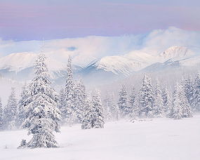 在广袤无垠的雪域中，晓玉静静地坐在雪山的顶端，望着天空中漂浮的白云，感受着冰冷刺骨的风