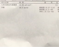 hcg隔天只翻了1.85,第二天hCG加倍，宝宝发育1.85是怎样的?专家为您解答!