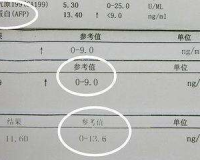 甲胎蛋小于1.80