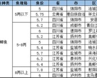 独家揭秘80星王装备过滤表：成为最强王者必看的终极指南！