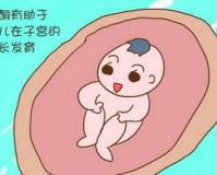 孕酮低1.80：原因、影响与应对策略