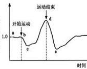 抗胰岛细胞抗体1.85:揭示潜在健康风险