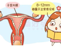 内膜0.7卵泡1.85:解读子宫内膜和卵泡发育