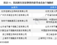 zhaosf无法打开,深度解析zhaosf打不开:一次技术、战略与创新的探索之旅