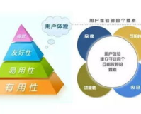 zhaosf数字网站,数字网站：从构思到运营的全面指南