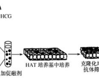 艾滋病抗体检测值多少正常