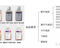 血清中磷1.85正常吗,揭开健康秘密血清中磷1.85，你身体还好吗?