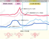 黄体期FSH1.85,fsh正常范围